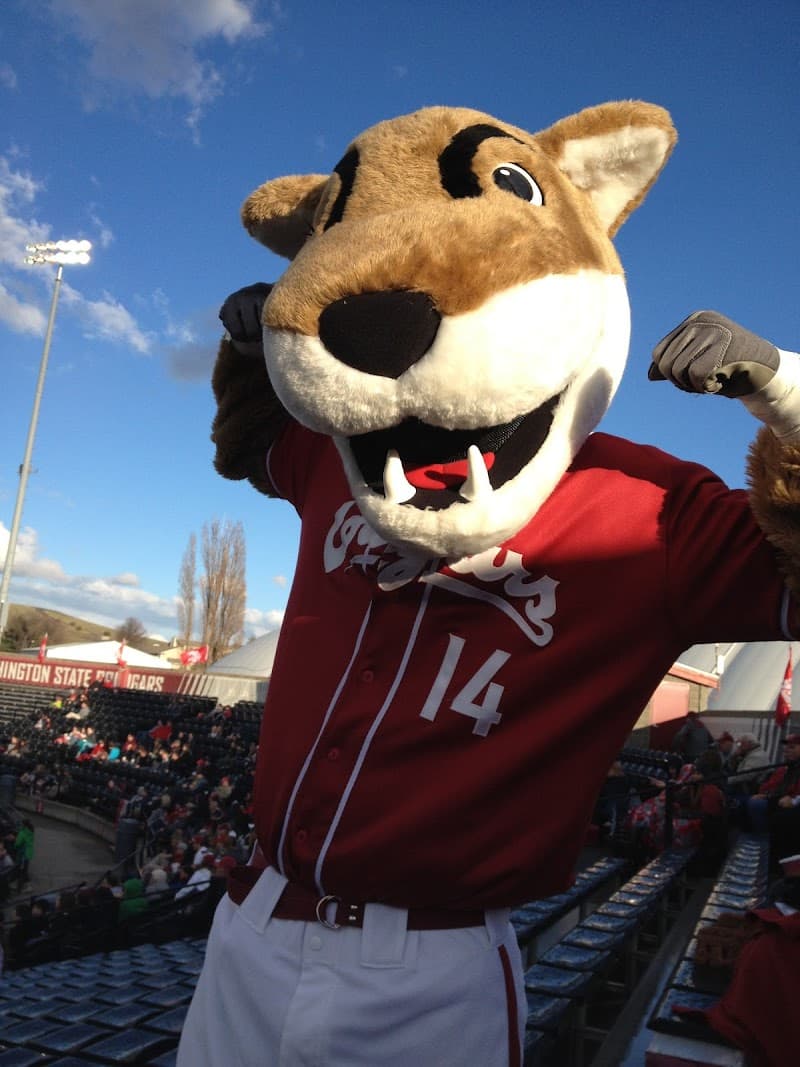 Photo by Fumen (Google)