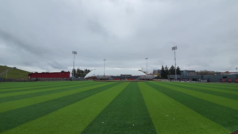 Bailey-Brayton Field