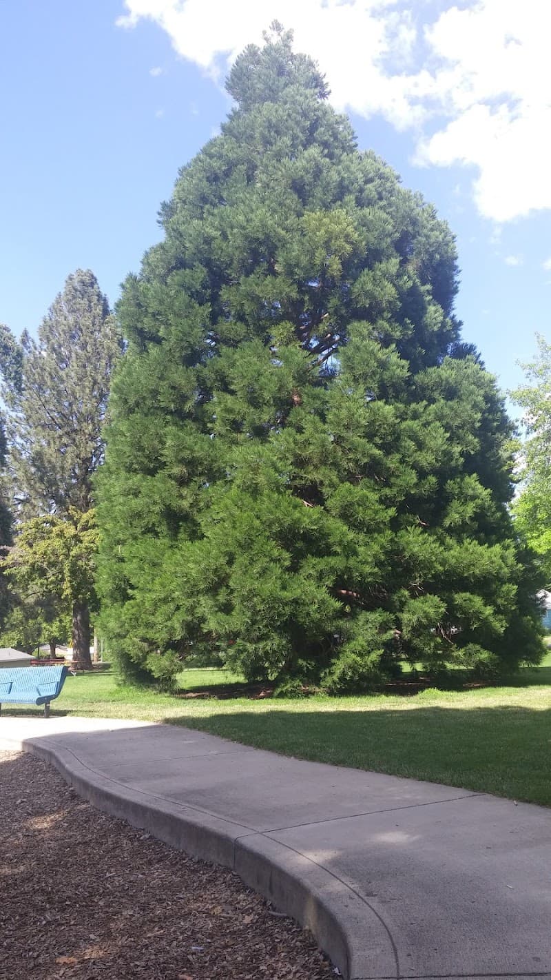 Photo by Michael Horne (Google)