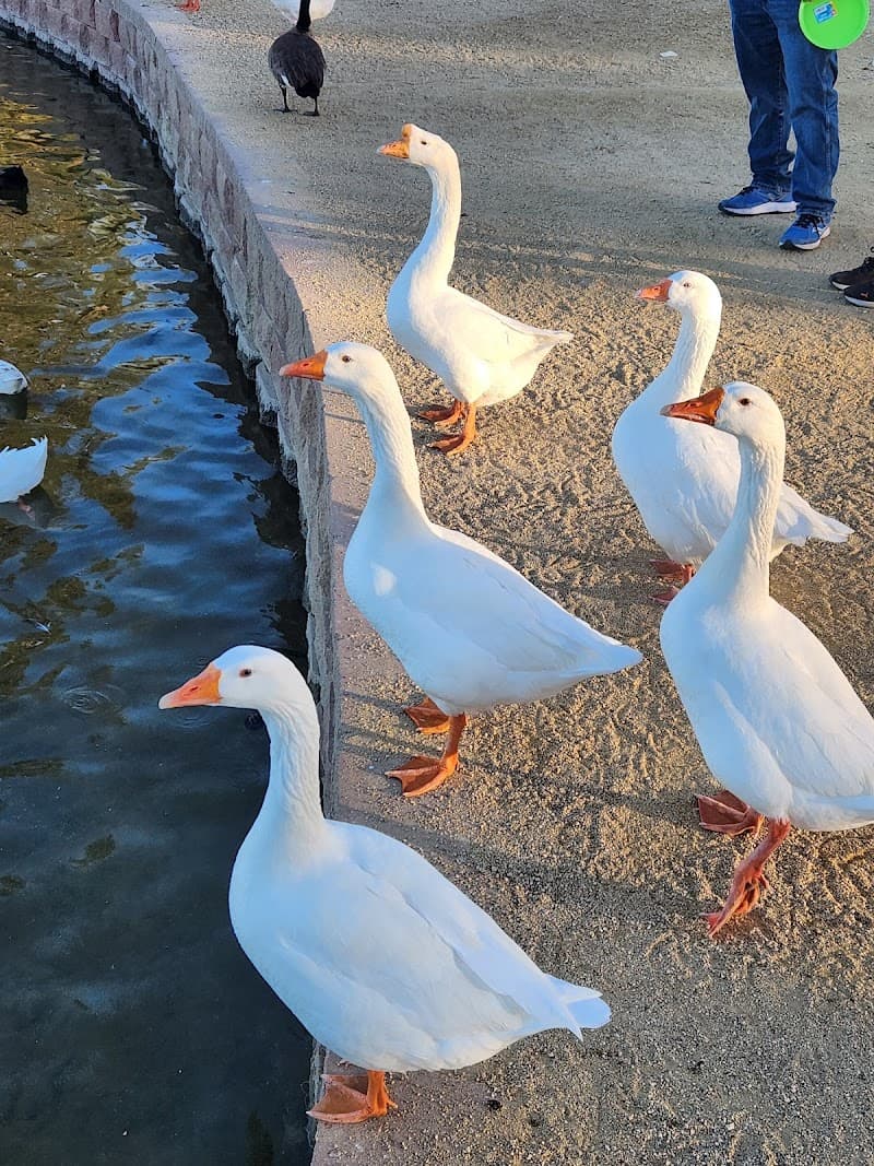 Sunset Park Recreation Center in Henderson, NV