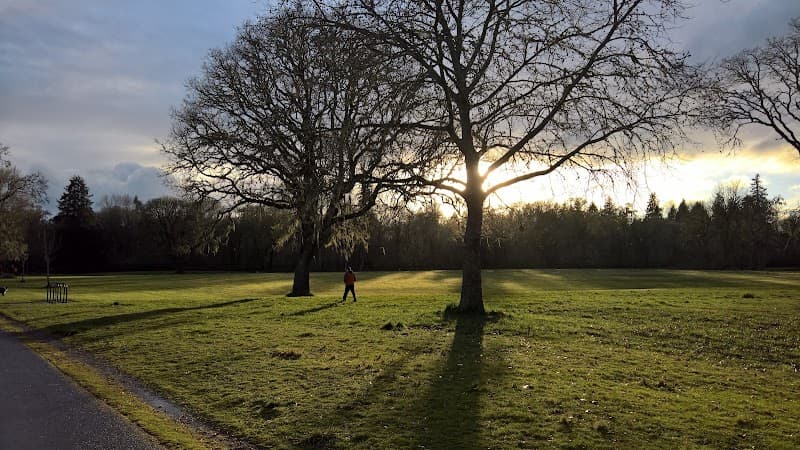 Photo by Jerome Marchon (Google)