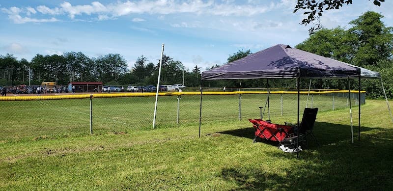 Photo by Adam Anderson (Google)