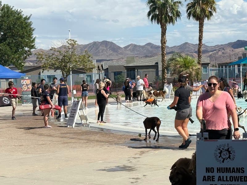 Black Mountain Pool in Henderson, NV