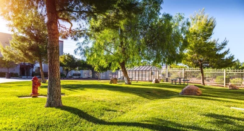 Henderson International School, NV