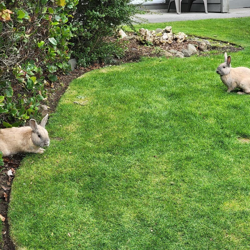 Photo by Sha non (Google)