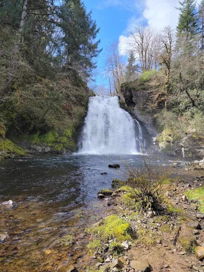 Young's River Falls Park - Astoria Parks & Recreation, OR