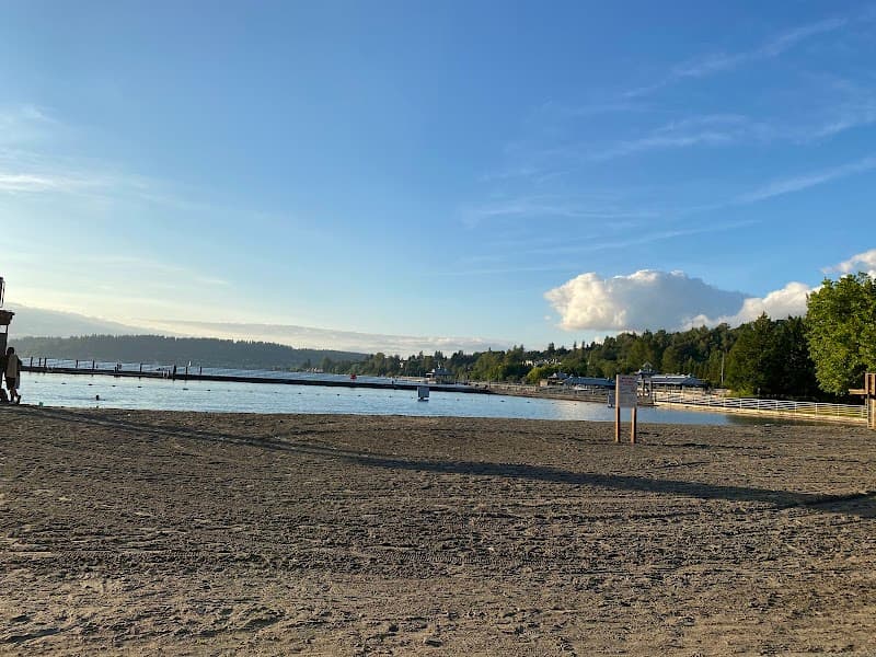 Photo by Nancy Singh (Google)