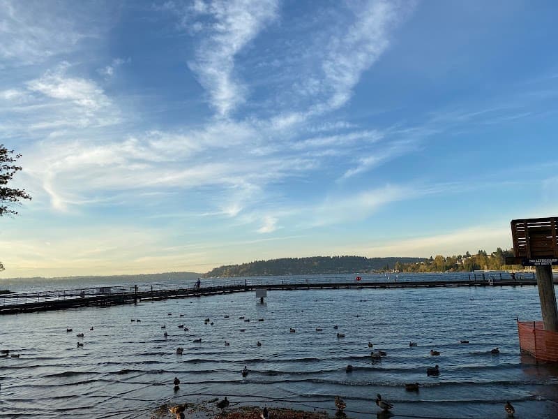 Gene Coulon Park Sand Volleyball Courts (2)