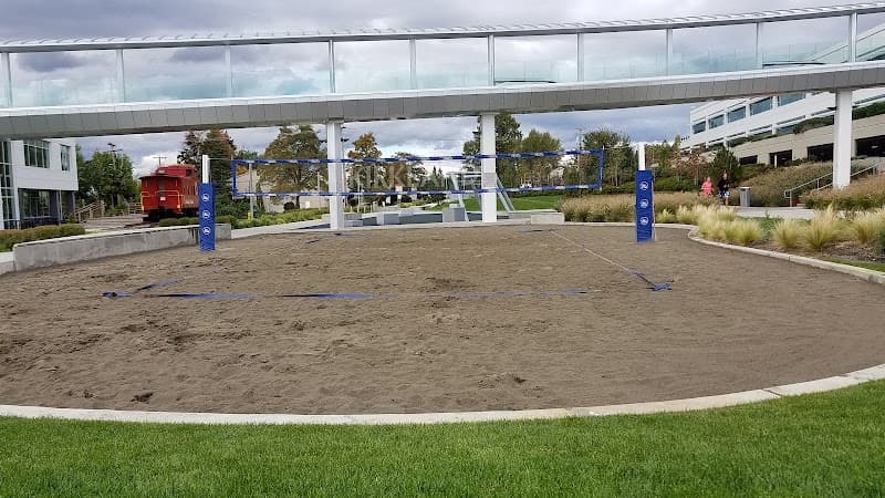 Photo by P D (Google)