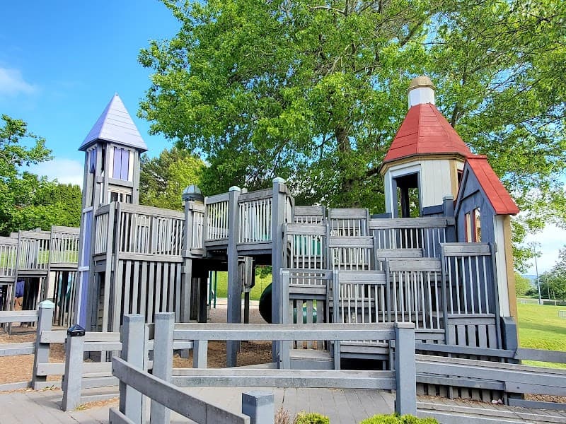 Photo by Larie Borst (Google)