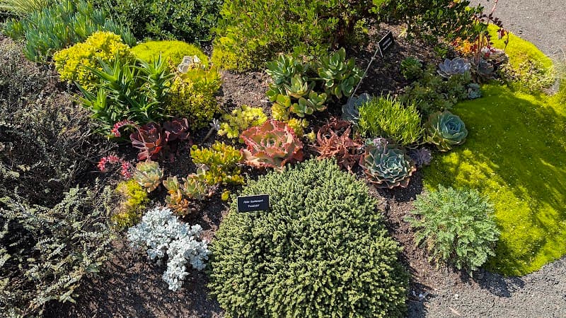 Photo by Michael Saunders (Google)