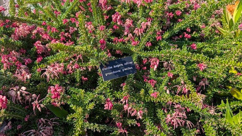 Photo by Michael Saunders (Google)