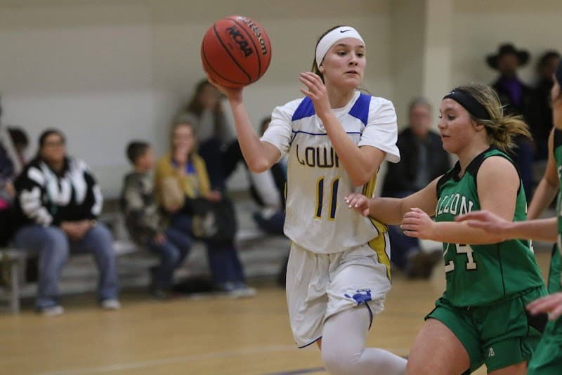 Albert M. Lowry High School