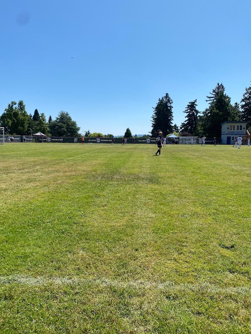 Photo by Morai Ball (Google)