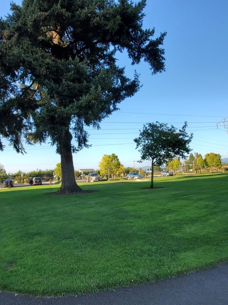 Pacific Community Park