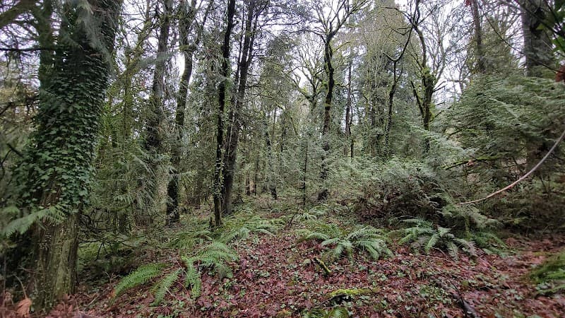 Photo by M B (Google)