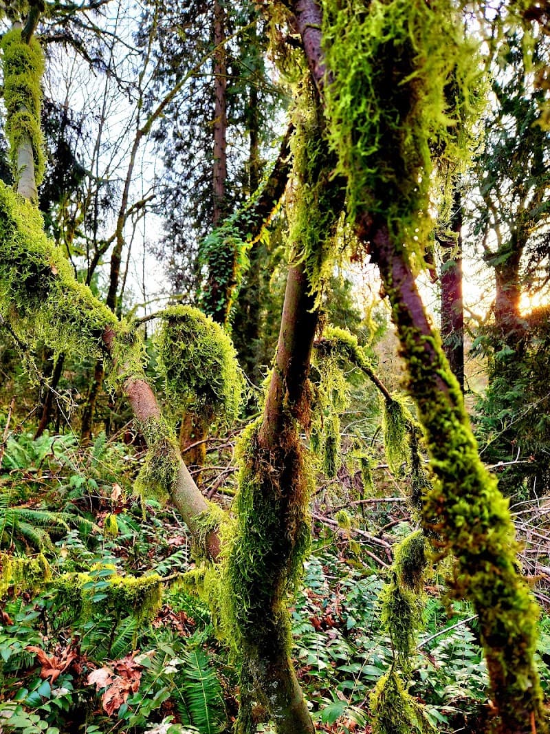 Salmon Creek Community Club Park
