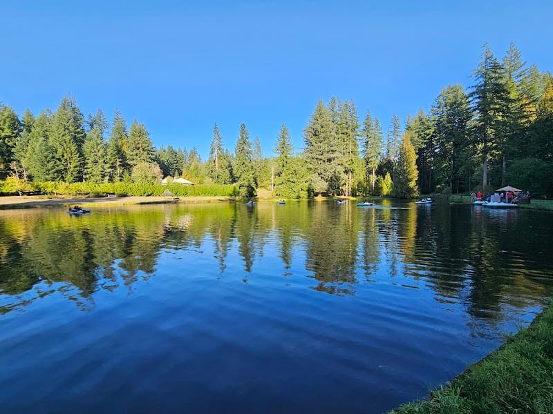 Photo by Brandi Collum (Google)