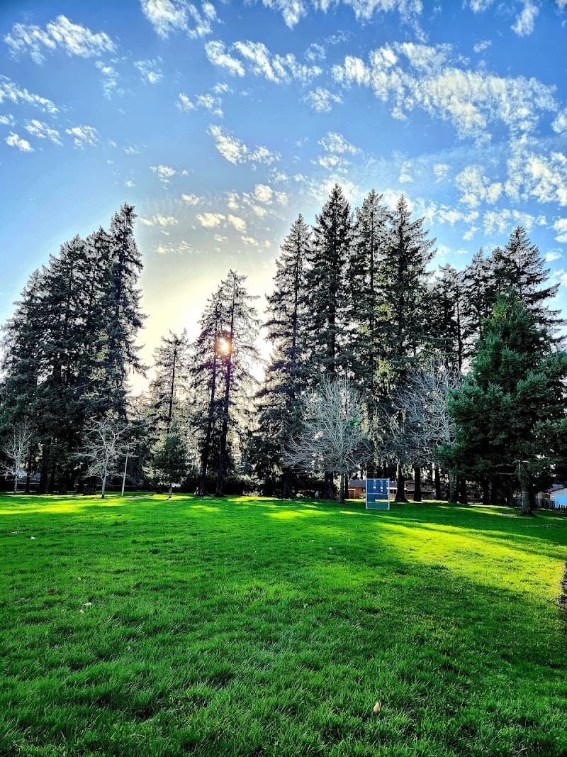 Photo by Cynthia Scott (Google)