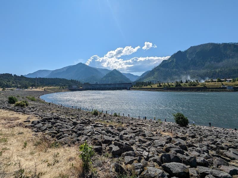 Photo by Avery Lee (Google)