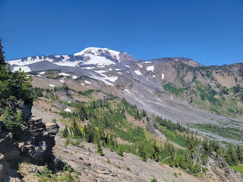 Photo by Karl Fuelling (Google)