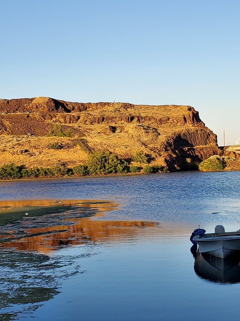 Photo by Julia McKenzie (Google)