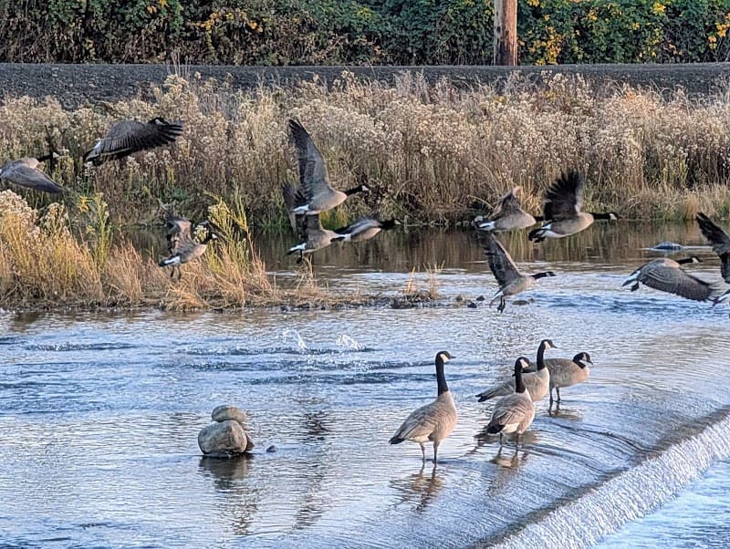 Photo by Brooke Bouchey (Google)