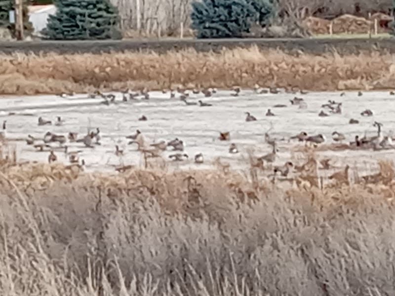 Photo by D E W Adventures (Google)