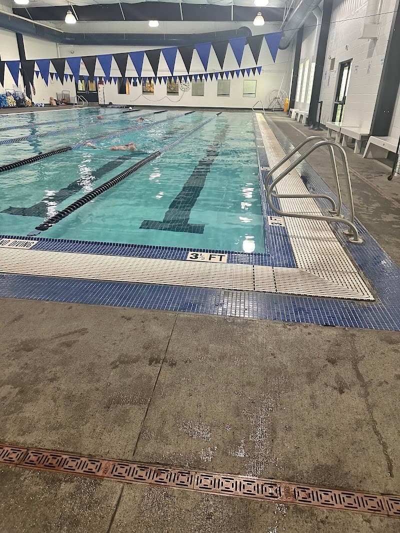 Photo by Pretty Pretty (Google)