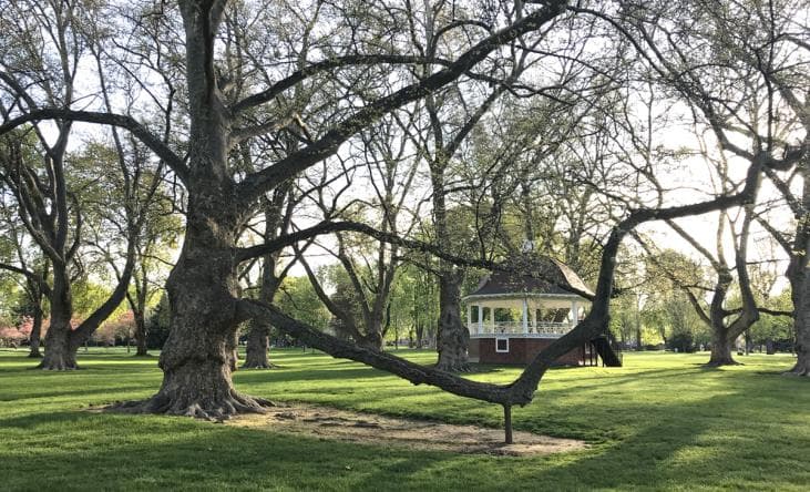 Photo by City of Walla Walla Parks & Recreation Office (Google)