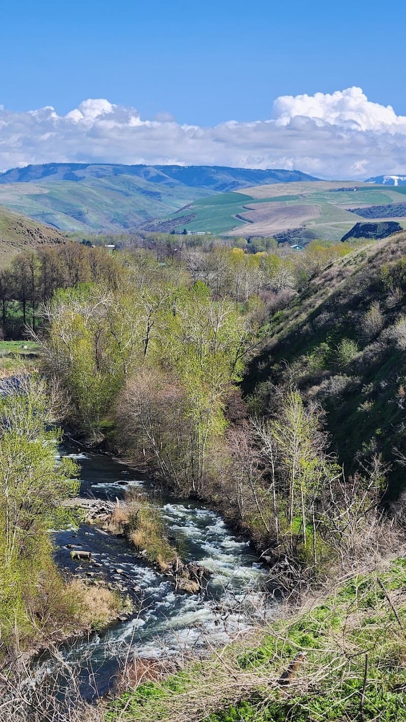 Photo by Jamie Brown (Google)