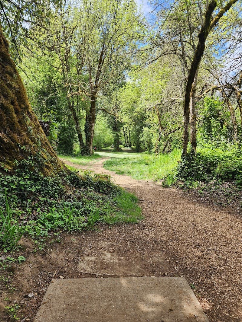 Photo by Levi Weikel (Google)