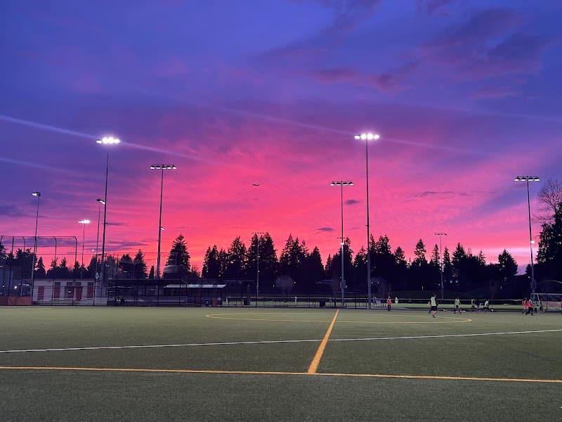 Photo by Sami Parsaa (Google)