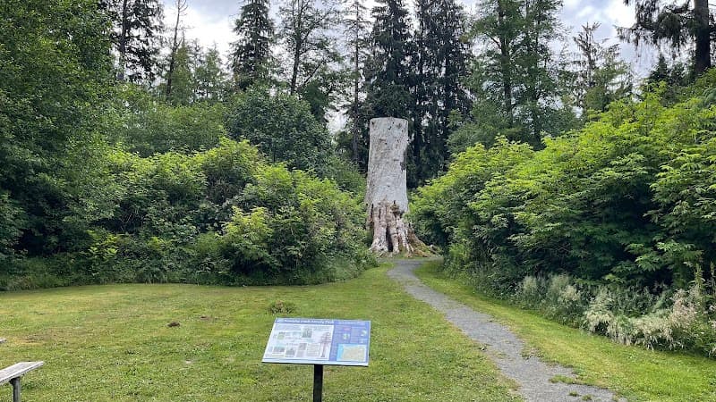 Photo by Dorna Mojab (Google)