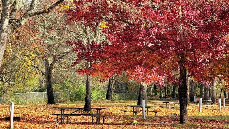 Photo by Vasily Kalugin (Google)