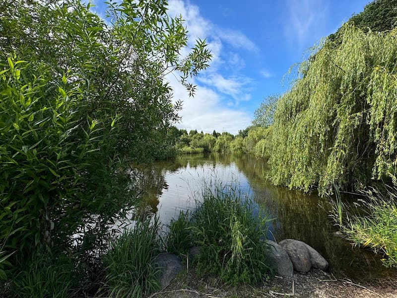 Photo by Andrii Deba (Google)