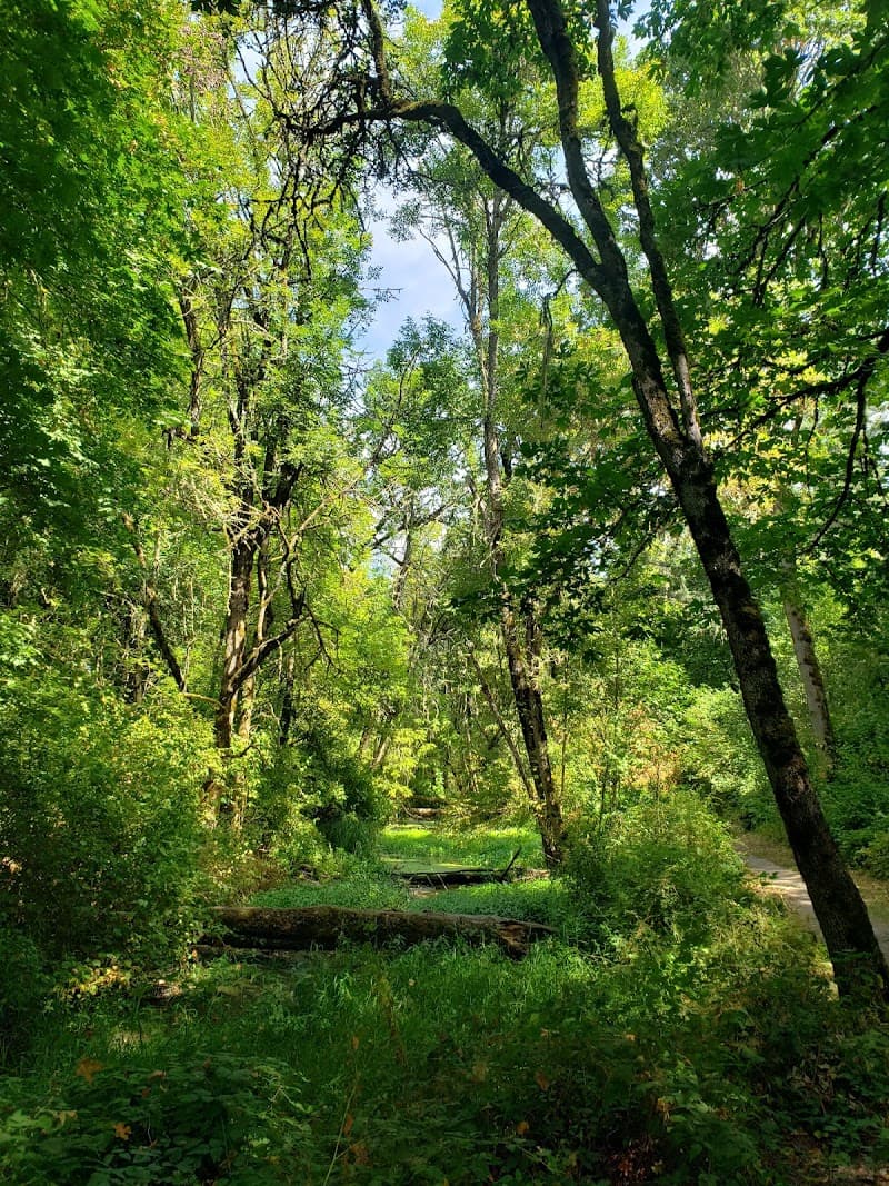 Teloh Calapooia Park