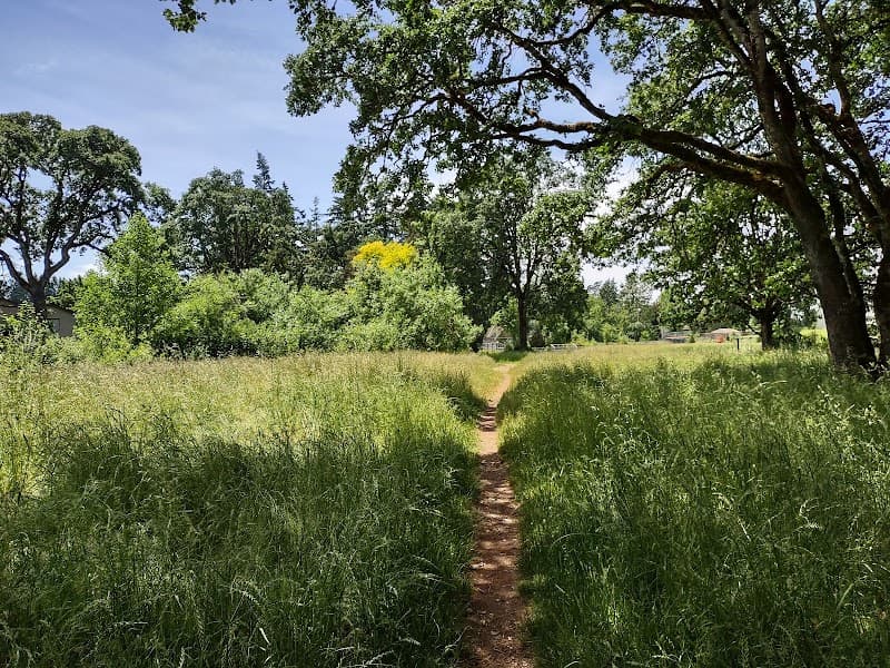 Photo by Jody Michelle Horner (Google)