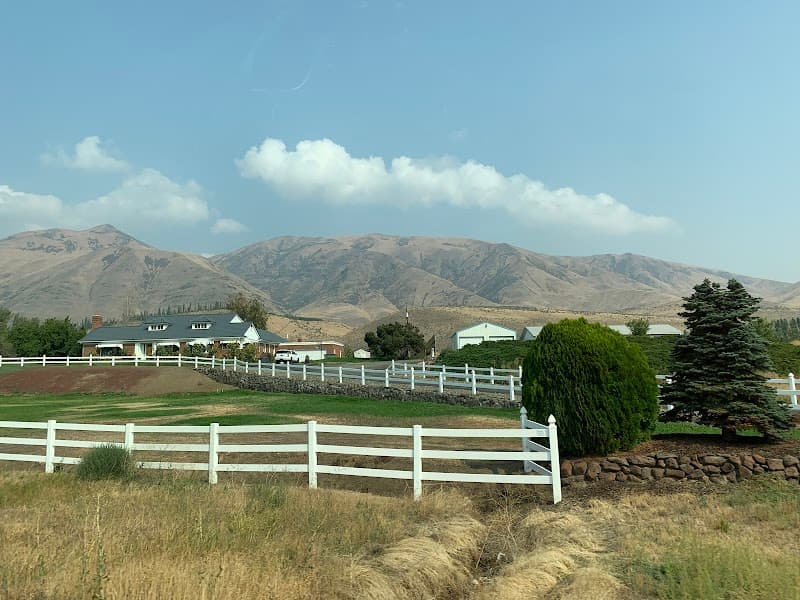 Photo by Ruben Holdorf (Google)