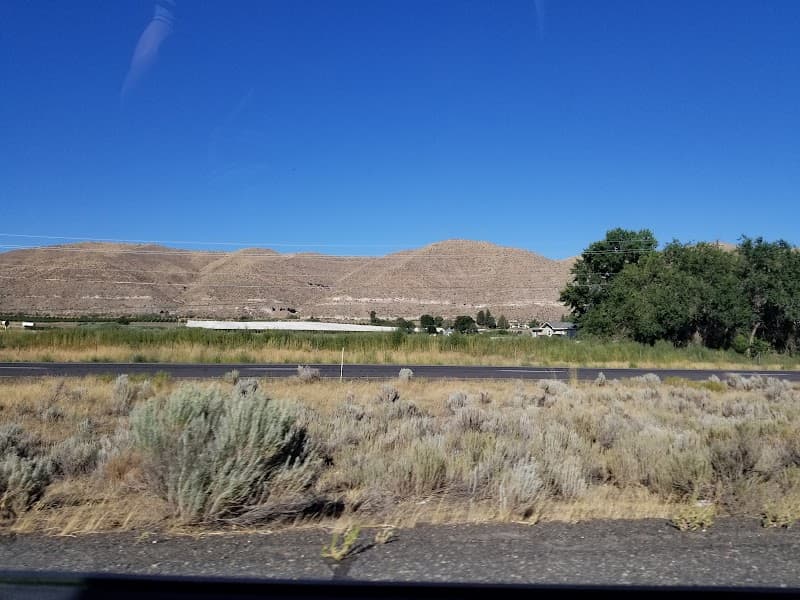 Photo by Peter Robbins (Google)