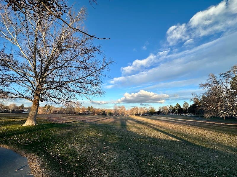 Photo by Peter Svensk (Google)