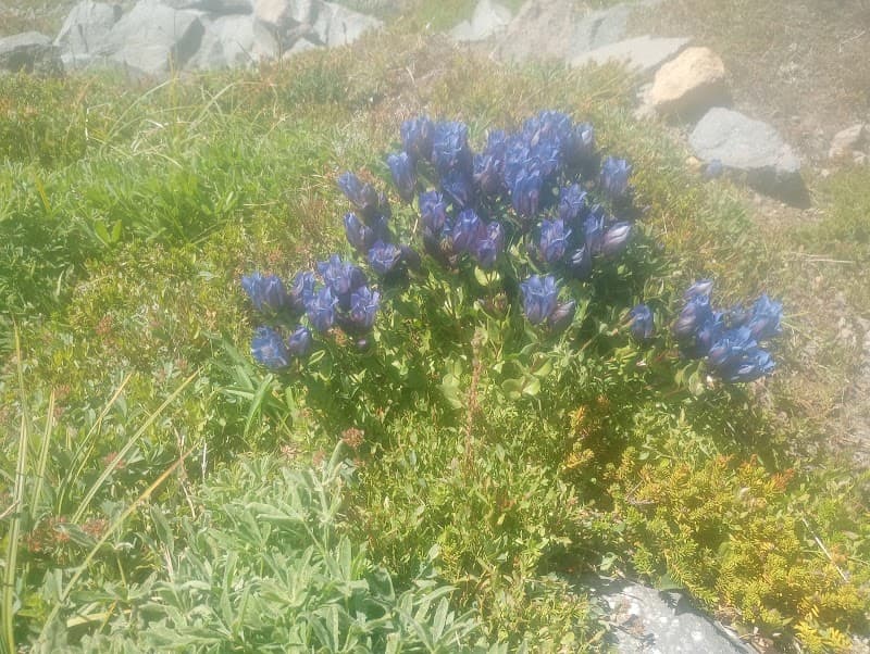 Photo by Jorge Madrigal (Google)