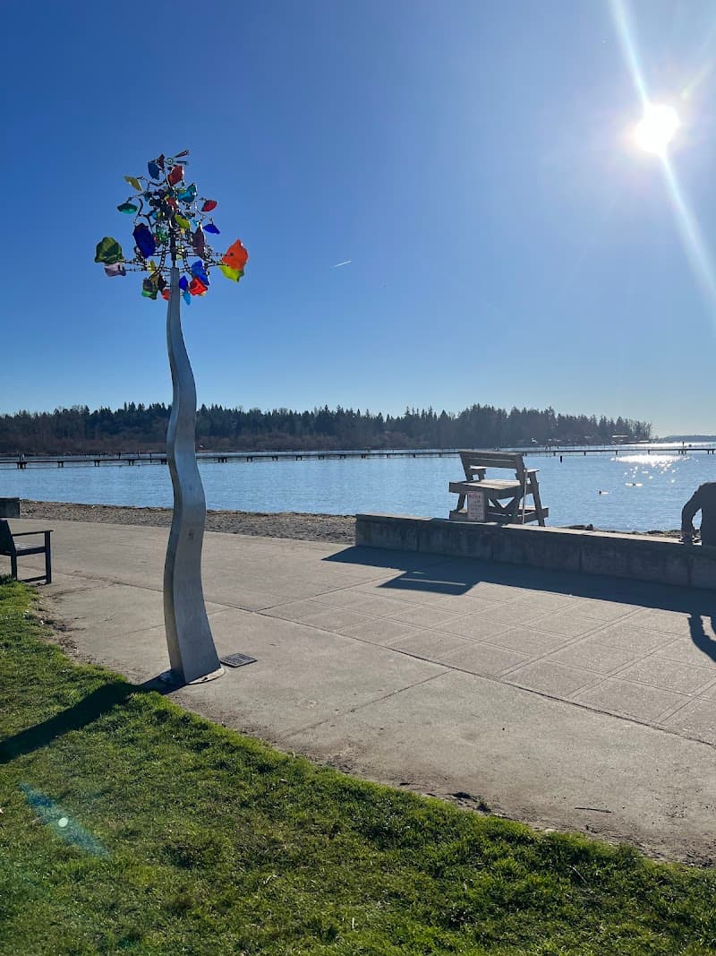 Photo by Anshu Jha (Google)