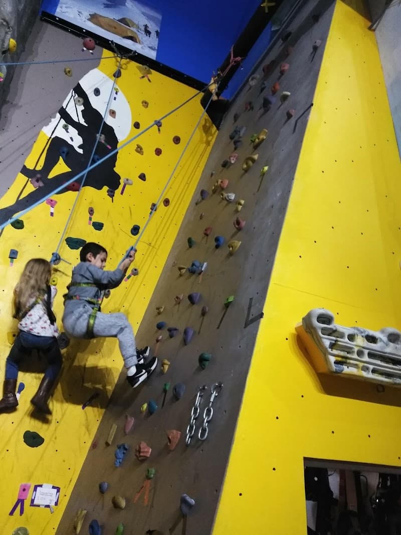 Photo by miguel perez (Google)