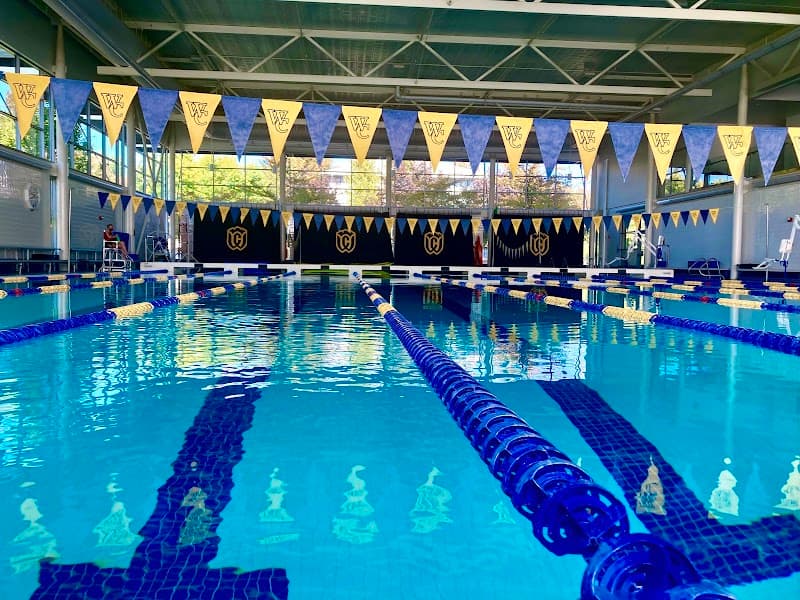 Photo by Uriah Shemuel (Google)