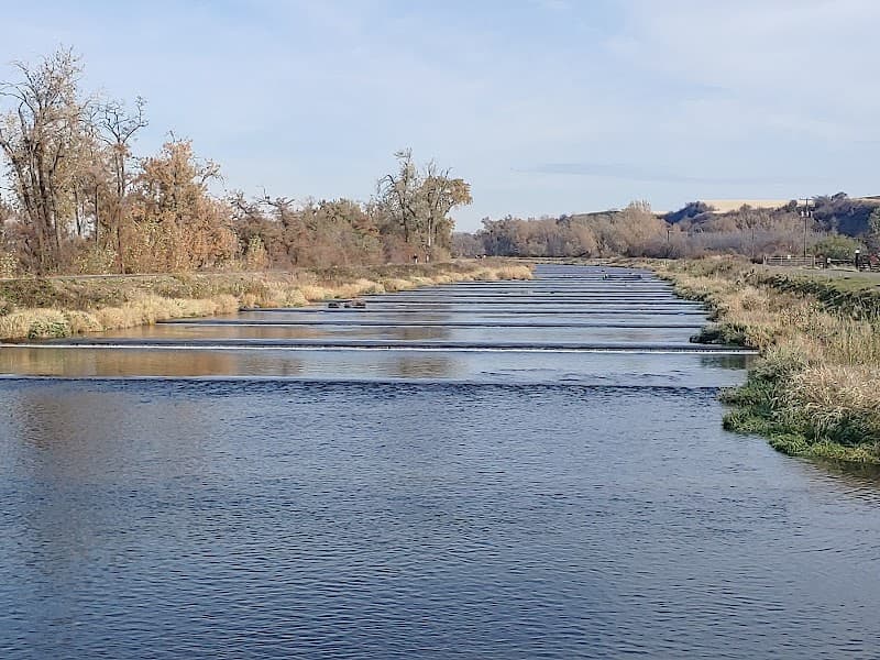 Photo by Jenny Shaner (Google)