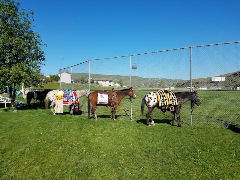 Photo by Bobby Sams (Google)