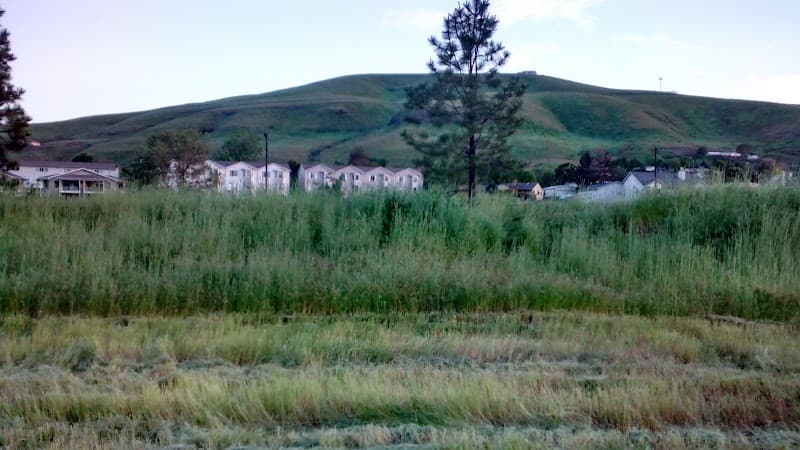 Asotin County Little League