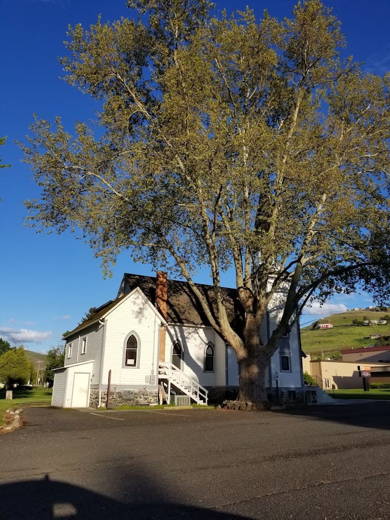 Photo by MeA (Google)