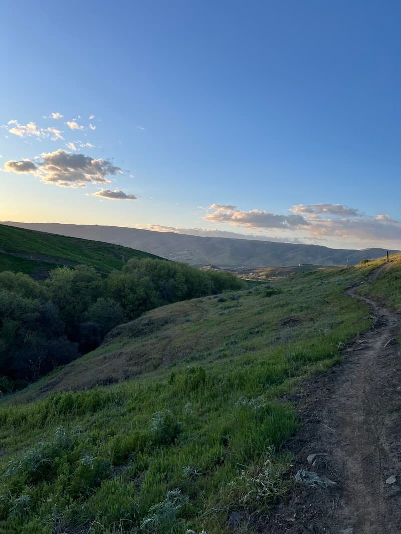 Photo by Ryan Skinner (Google)